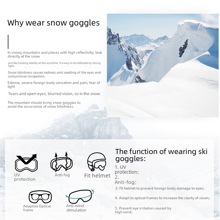 Ski Goggles 19