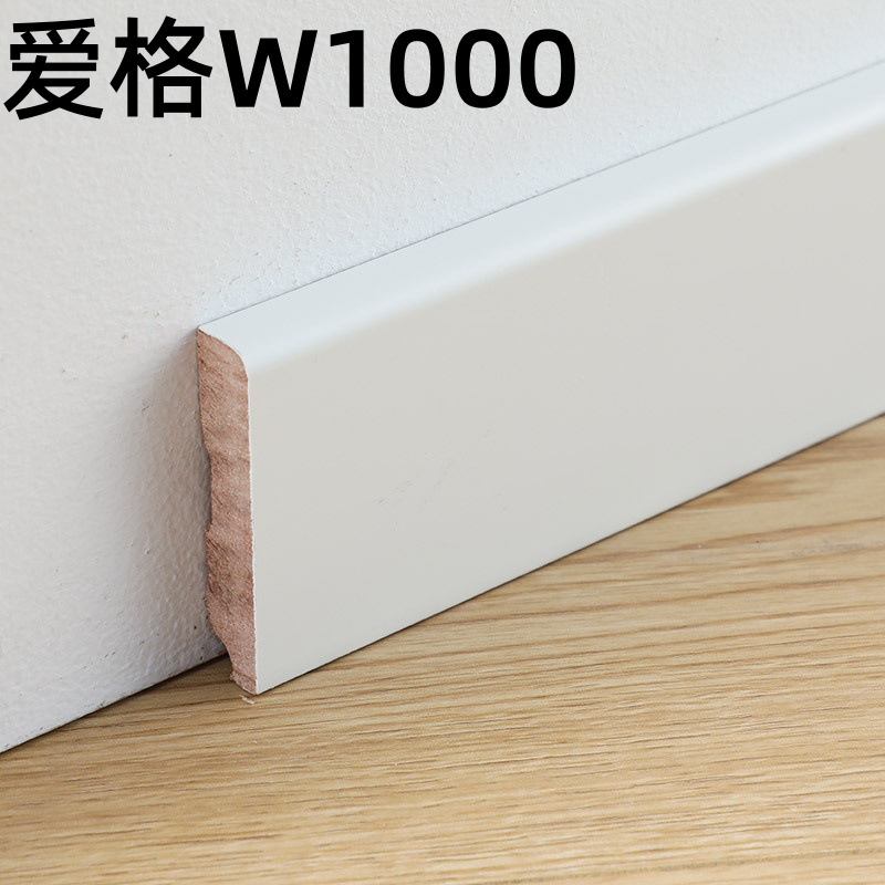 爱格W1000