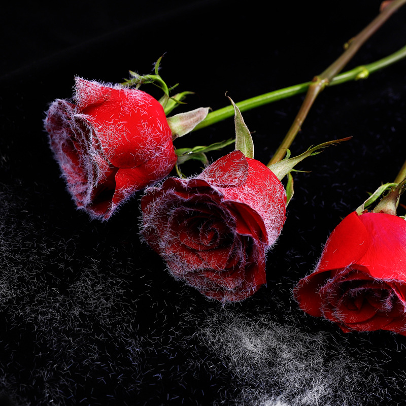 Florista creativa de Año Nuevo con floquete de nieve de lana de nieve material de ramo de nieve accesorios DIY hechos a mano para Navidad image 5