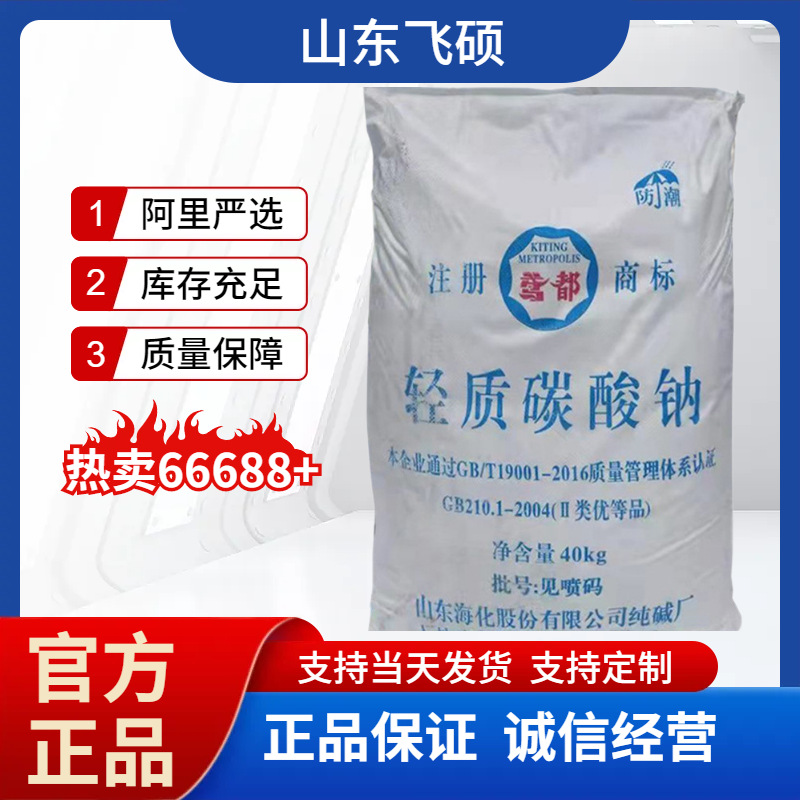 山东海化纯碱 工业碳酸钠 食用 轻质纯碱 双环纯碱 副产纯碱