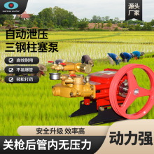 大流量喷雾泵强劲动力轻松打药果林园林农田用自动泄压三缸柱塞泵