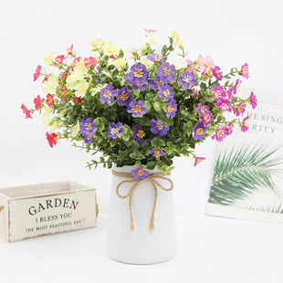 �羳 TEMU  ���ϻ��ȼ������շ��滨�Ҿӑ����c�zӰ�b[�O