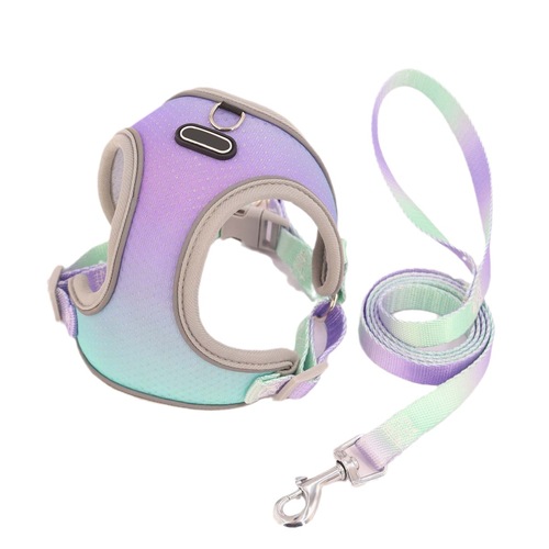 Pet clothing leash, outdoor dog harness, dog leash, half pack of cat leash, can be added as standard