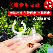 �~�����ˮ���_�������ܛ���P������P�ӟ�����P�Դ���̶����P