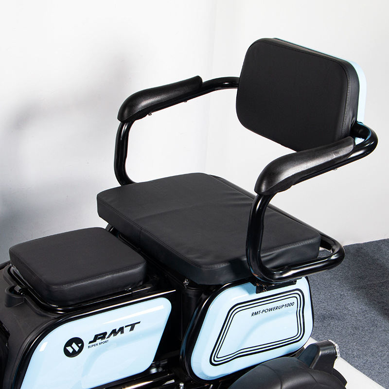 Triciclo Eléctrico Doméstico X1 Motor de 500W para Uso Doméstico y Adultos Mayores