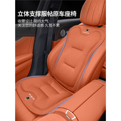 Lightning Cat Ballet Cat/Iq Car | Seat cushion, seat cover