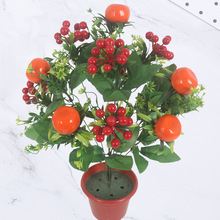 12�^����ɰ�ǽ۰lؔ���t���b[������ٻ���ĭ�����Gֲ�ҾӔ[��