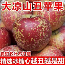 爆甜】大凉山冰糖心丑苹果新鲜水果应季红富士当季吃脆甜整箱批发