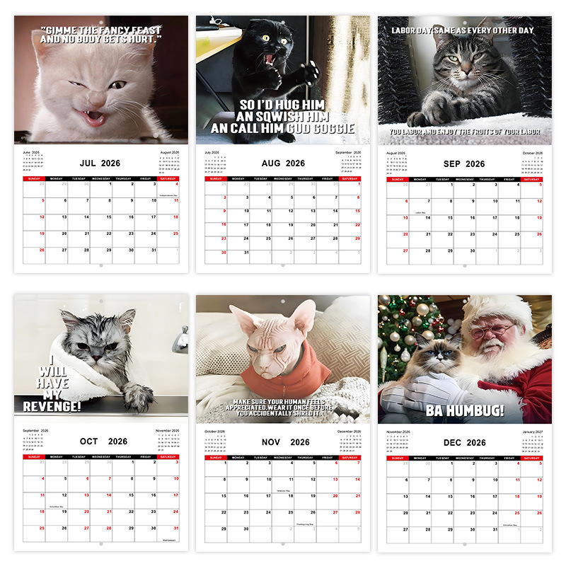 越境新製品 2026 PISSED-DFF CATS アングリーキャットカレンダー ウォールライディング ネイルカレンダー 在庫あり|undefined