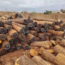 刚果血檀 血檀木 非洲紫檀 家具材乐器材 高端原木