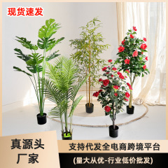 緑植の高級な大型の着地をシミュレーションします。