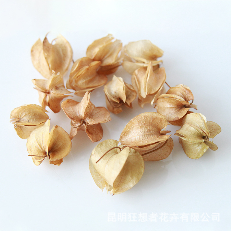 Màu cơ bản của quả đèn lồng (một túi 20 gam, khoảng 30 chiếc)