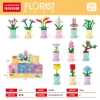 8814 Zodiac Lucky Flower (12 Box) display box