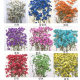 Gypsophila dried flower embossing wholesale plant specimens diy handmade bookmark flower material package dried flower embossing