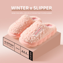 新款居家保暖情侣字母棉拖鞋男厚底居家踩屎感冬天毛毛拖鞋女批发