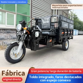 电动三轮车;其他电动车
