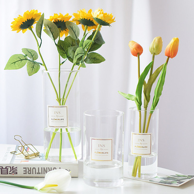 北欧ins风直筒玻璃花瓶简约欧式花器透明水培插鲜花水养客厅摆件|ru