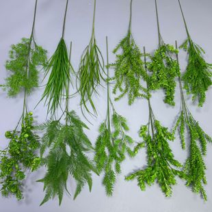 GֲɫܛzϻƵֲcܛb廨bl