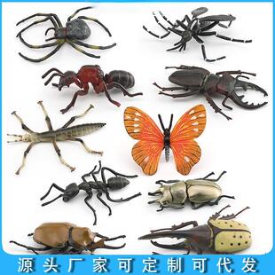 �羳����[������x���x�������xΛρ֩���������x����ģ��
