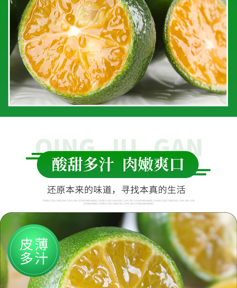 Freeze-Dried Green Kumquat Slices 30g Bottle Qing Ju Gan Citrus Tea Blend with Lemon and Passion Fruit quality and texture