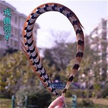 俏花旦毛翎子羽毛长翎子毛山鸡毛地鸡尾雉鸡翎戏曲京剧