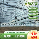 养鸡养猪羊舍温室大棚钢架结构农业养殖大棚养猪羊鸭保溫大棚骨架