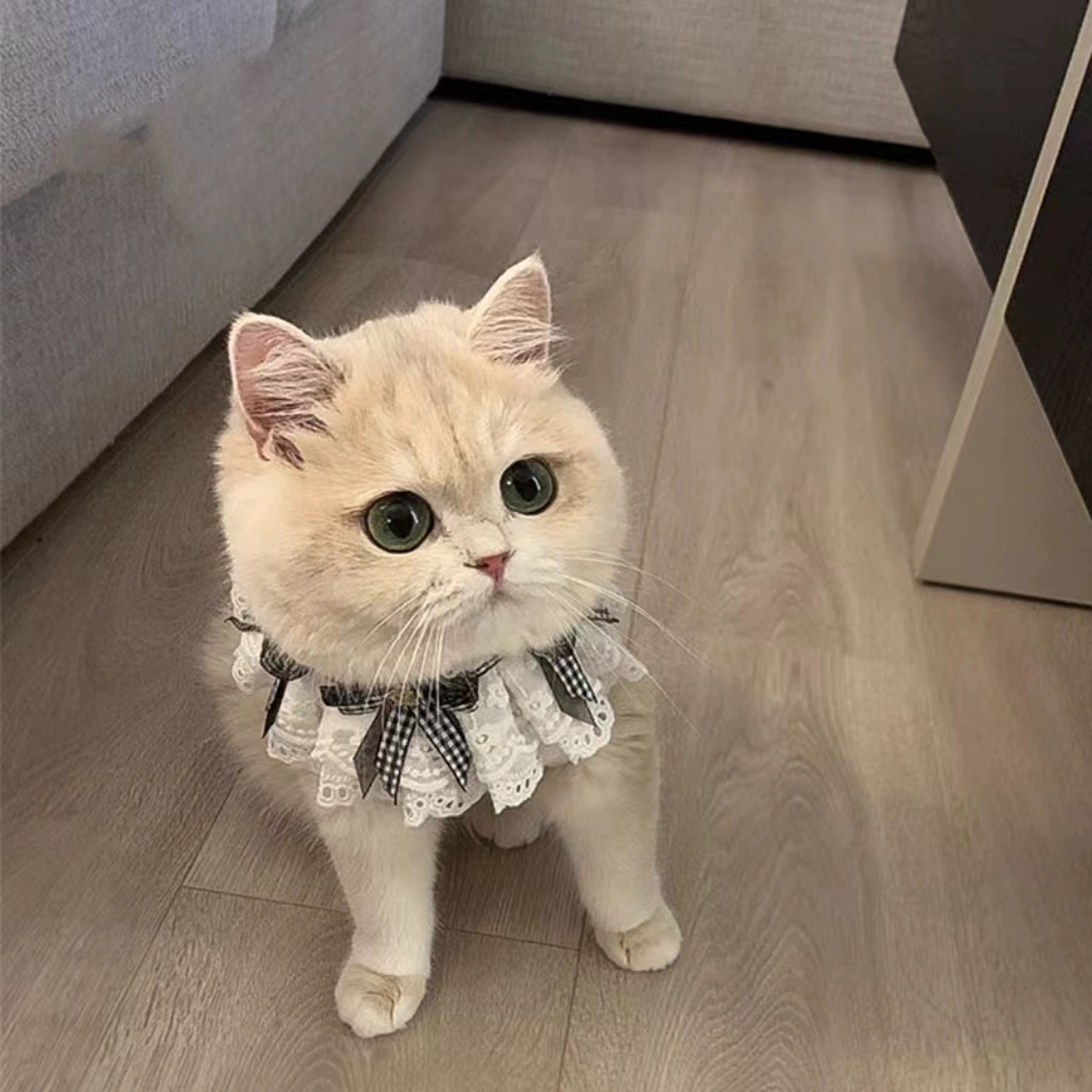 Cute scarf, small bell, choker, bow tie, eating bib, pet, kitten, cat