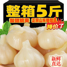 �����^5���Ǵ��������������r�����̲����500g�����������l