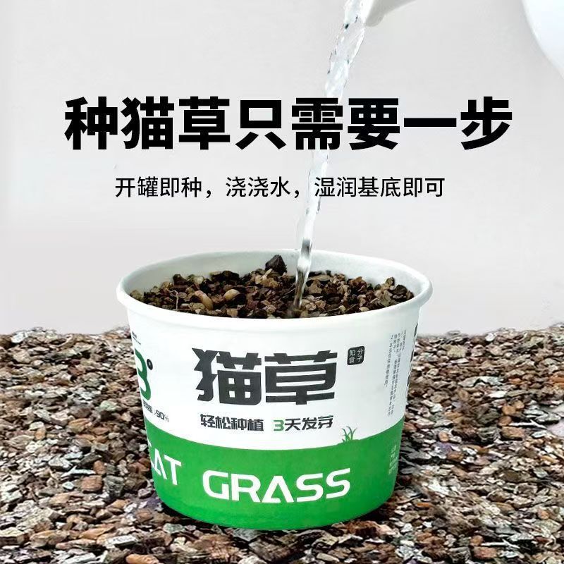 怠惰な猫草缶詰ペット猫草水耕栽培無土壌脱毛ボール消化を助ける脱毛スナックインスタントラーメンペット鉢植え|undefined