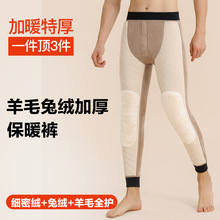男高腰加绒冬季棉毛裤特厚大码护膝加厚打底裤保暖裤内穿东北羊毛