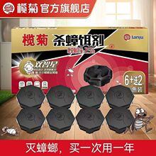 批发正品榄菊杀蟑饵剂双智星餐馆厨房酒店蟑螂屋快速杀灭蟑螂神器