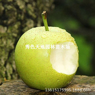�O�������޽������S�������Ե����ϱ����Nֲ�������O�����Ә���