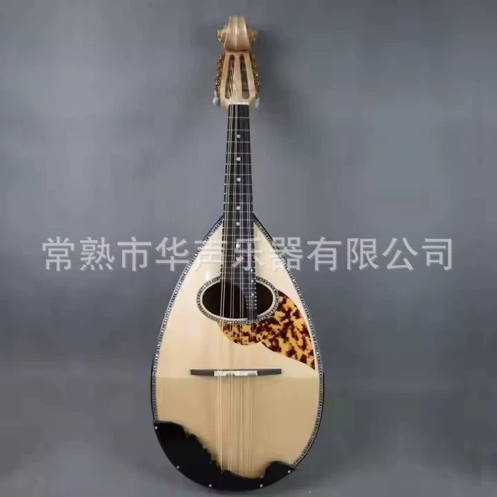 华声 Профессиональные музыкальные инструменты для начинающих