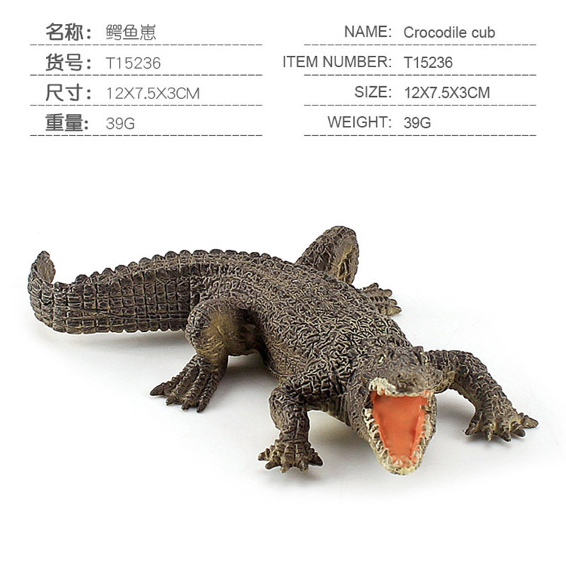 La educación temprana de los niños reptil cocodrilo de sangre fría decoración estática juguete simulación bosque cocodrilo modelo traje transfronterizo