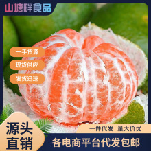 江西赣州寻乌蜜桔当季蜜桔橘子整件包邮产地直发桔子蜜桔一件代发