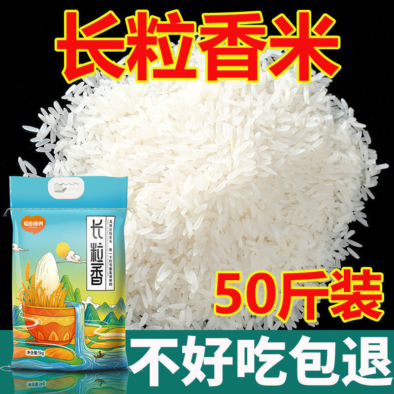 20斤长粒香米新米晚稻丝苗米煲仔饭蛋炒饭猫牙米煮饭10大米批发|undefined