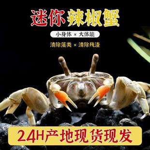 ��������з�~���^�p����С�з������B��ˮ���������r���Bз����