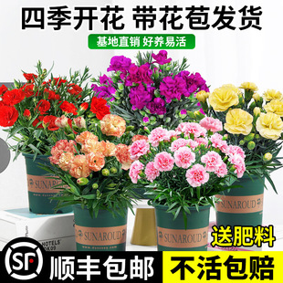 ����ܰ�������Ԏ������҃��ļ������̨ʯ���^��ֲ����B�׻��