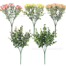 ӆƶ}Q҃ܛb컨Gֲȼ޹²ݼٻS