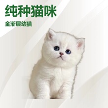 ����؈��؈���w����С؈�������؈���w�y�u��؈�������{��؈