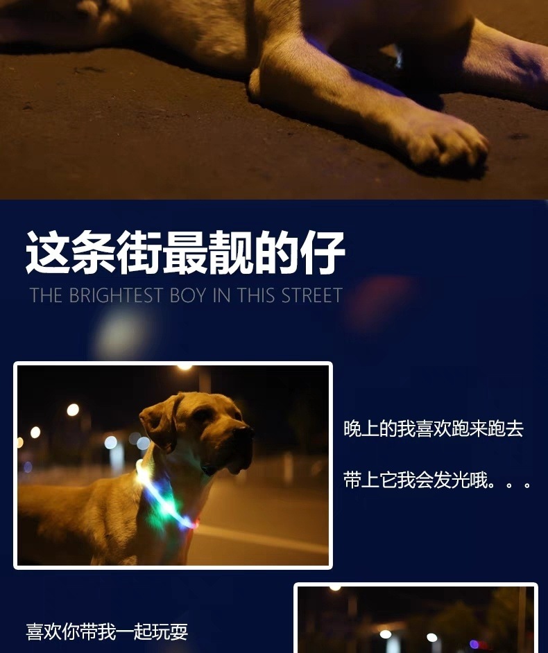 9b98a7f3-9bed-4728-b35d-5faa999b2694.jpe