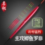 灵敏细长鲫鱼