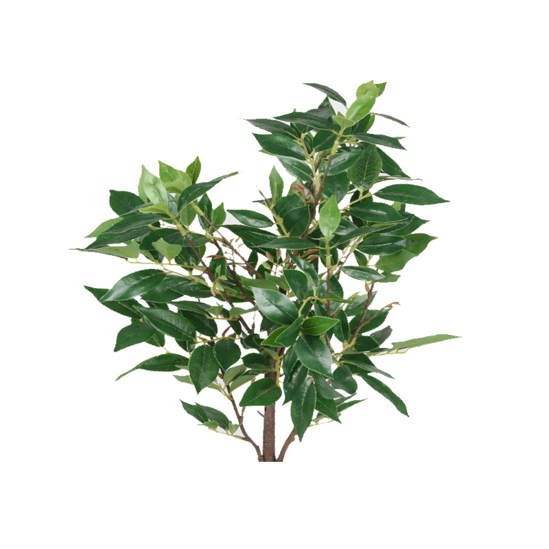 XRS-061  盆栽窄基红叶 (3).jpg