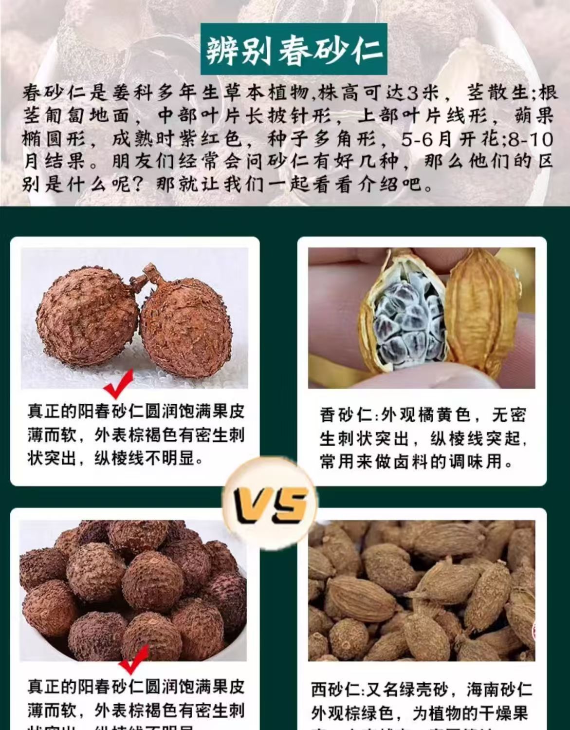 Yangchun Amomum Fruit Sha Ren 500g Dried TCM Herb for Cooking and Decoction specifications