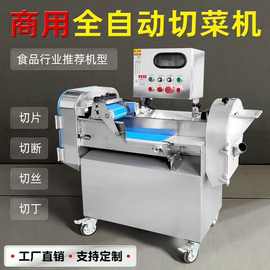 多功能数控变频双头切菜机全自动食堂商用切片机切丝机切丁机商用