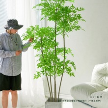 ֲ��������������Է����Gֲ�[���͏dɳ�l߅�Ҿ��b��辰�٘�