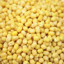 ÓƤ�G�������G���� �G�����cԭ������s�ZȥƤ�����G����