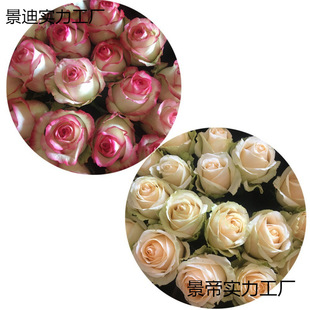 �t�������Zõ���������ϻ����r���l���^�ٺ��㙉ˮ�Bͬ����Ϧֱ�N