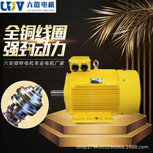 六安微特电机Y3低压大功率三相异步电动机-IE2/IE3国标铜线电机