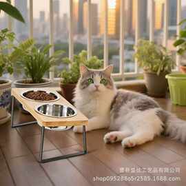 宠物碗猫咪双碗成猫幼猫不锈钢猫食碗泰迪小狗碗小型犬饭盆